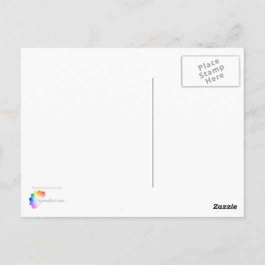 Stijging en schijn briefkaart (Achterkant)