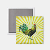 Stijging en schijn magneet (Voorkant / Achterkant)