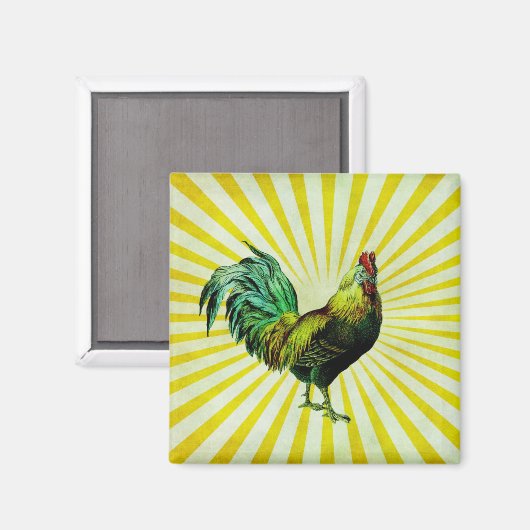 Stijging en schijn magneet (Voorkant / Achterkant)