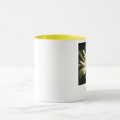 Stijging en schijn mok (Midden)