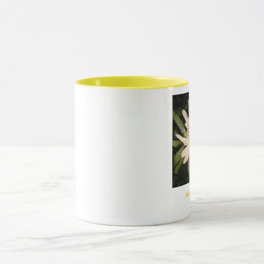 Stijging en schijn mok (Midden)