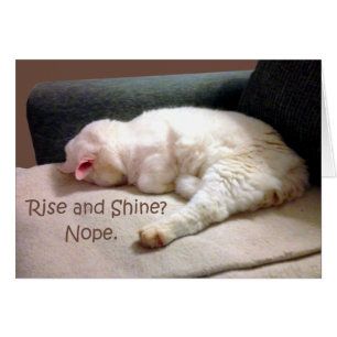 Stijging en schijn? Nee.