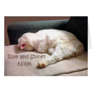 Stijging en schijn? Nee.