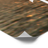 Stijging en schijn poster (Hoek)