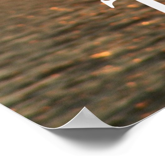 Stijging en schijn poster (Hoek)