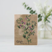  stijl Alfalfa Briefkaart (Staand voorkant)