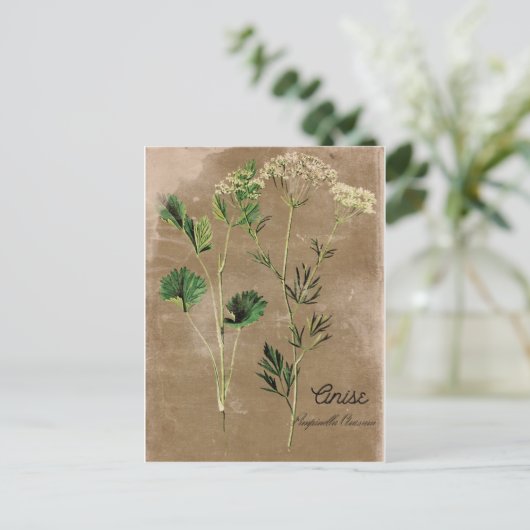 stijl Anise Herb Briefkaart (Staand voorkant)