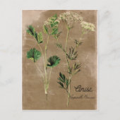  stijl Anise Herb Briefkaart (Voorkant)