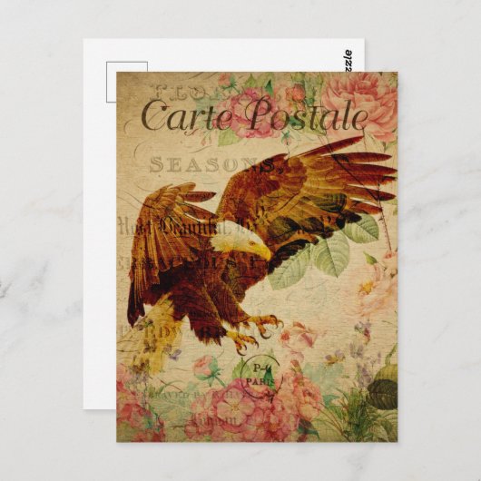  stijl Bald Eagle French Carte Postale Briefkaart (Voorkant / Achterkant)