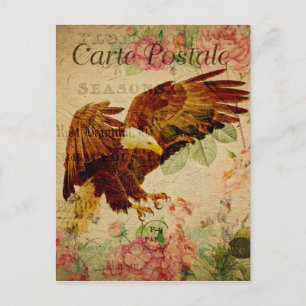  stijl Bald Eagle French Carte Postale Briefkaart