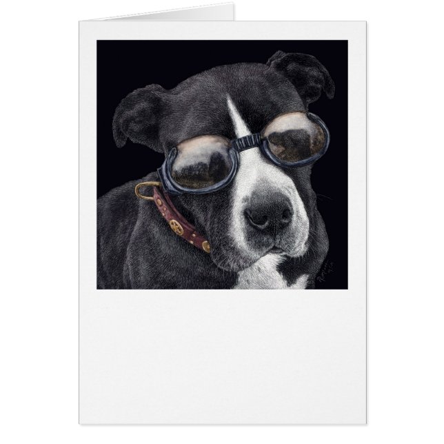 "Stijl" - Bully Mix (Voorkant)