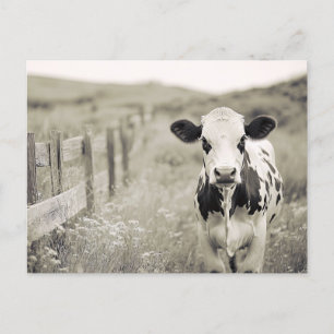  stijl Dairy Koe in een veld Briefkaart