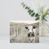 stijl Dairy Koe in een veld Briefkaart (Staand voorkant)