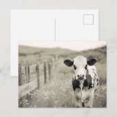 stijl Dairy Koe in een veld Briefkaart (Voorkant / Achterkant)