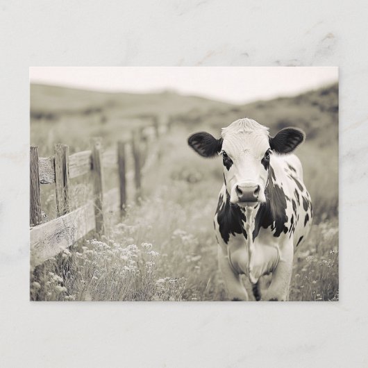 stijl Dairy Koe in een veld Briefkaart (Voorkant)