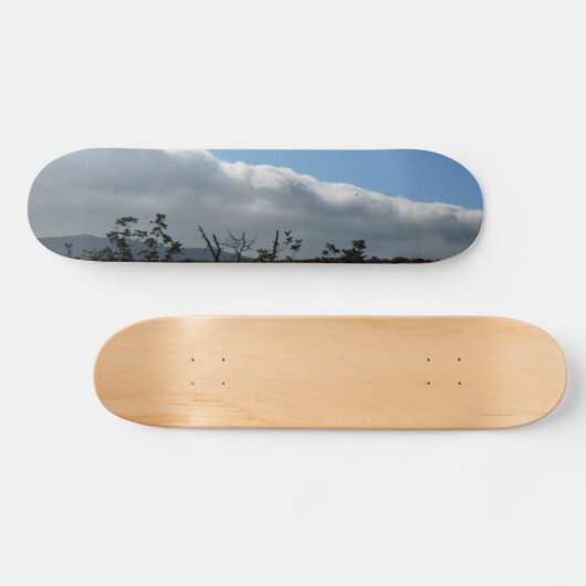 STIJL EN ONTWERP VAN SKATEBOARDS (Horizontaal)