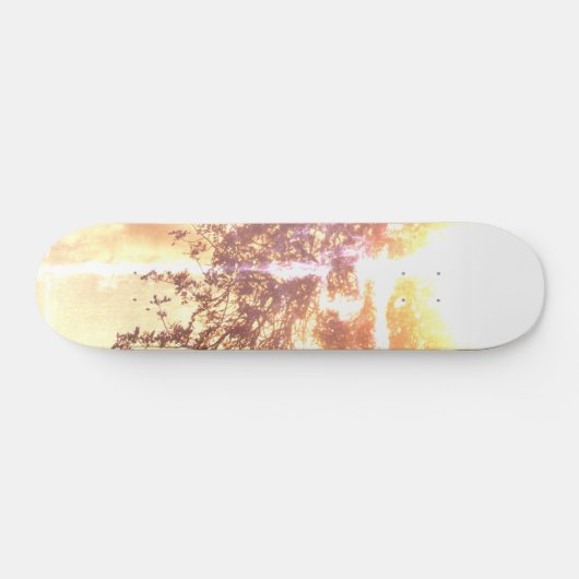 STIJL EN ONTWERP VAN SKATEBOARDS (Horizontaal)