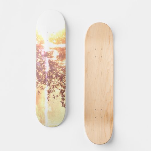 STIJL EN ONTWERP VAN SKATEBOARDS (Voorkant)