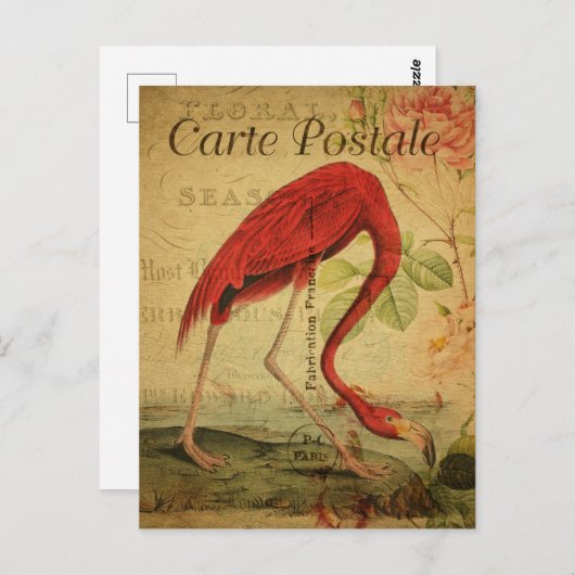  stijl Flamingo French Carte Postale Briefkaart (Voorkant / Achterkant)