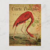  stijl Flamingo French Carte Postale Briefkaart (Voorkant)