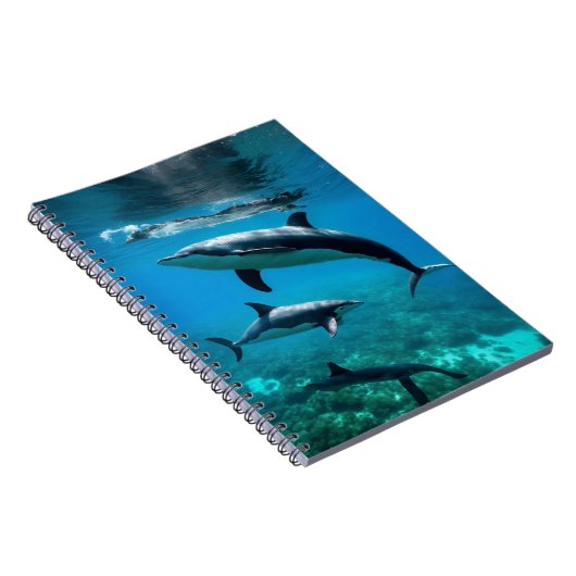 Stijl: Foto Notitieboek (80 pagina's B&W) (Rechterzijde)