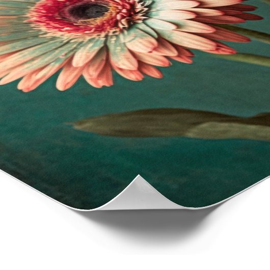 stijl Gerber Daisy Floral Art Poster (Hoek)