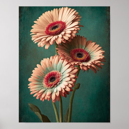  stijl Gerber Daisy Floral Art Poster (Voorkant)