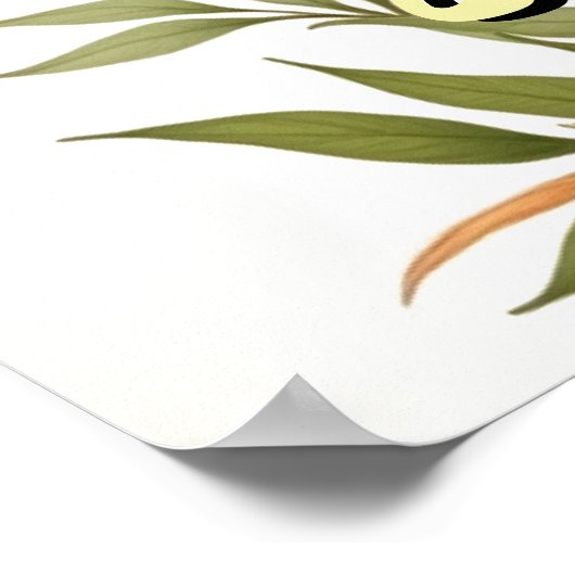  Stijl Hawaii Reizen Honolulu Hula Meisje Poster (Hoek)