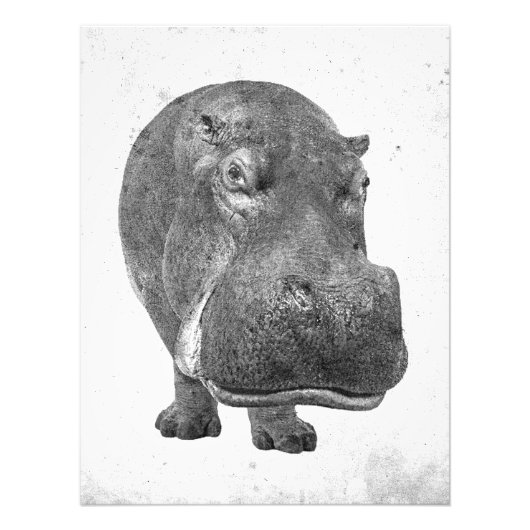  Stijl Hippopotamus Poster/Druk! Foto Afdruk (Voorkant)