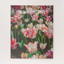 stijl roze franje tulpen