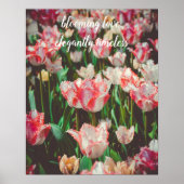  stijl roze franje tulpen poster (Voorkant)