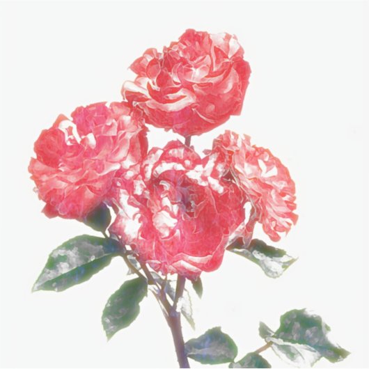 stijl Rozen Flower Art Sticker (Voorkant)