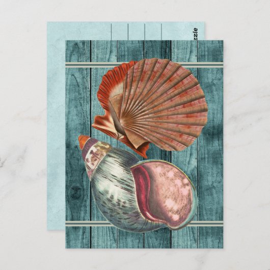 stijl schelpen briefkaart (Voorkant / Achterkant)