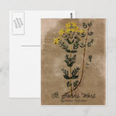  stijl St. Johns Wort Briefkaart (Voorkant / Achterkant)