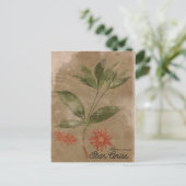 stijl Star Anis Herb Briefkaart (Staand voorkant)