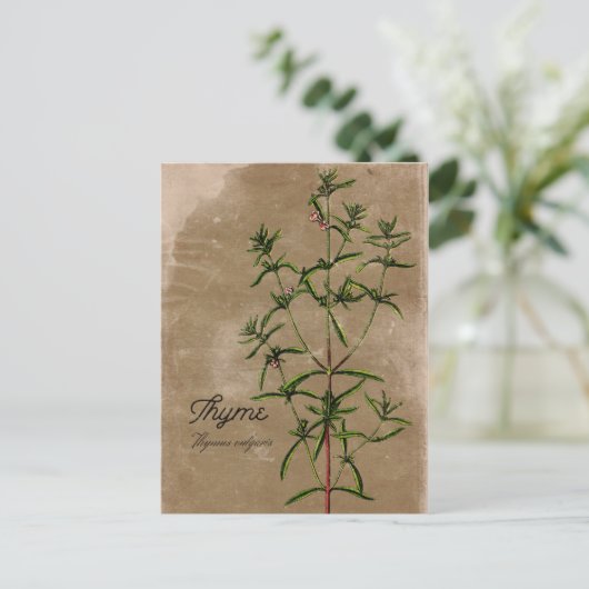 stijl Thyme Herb Briefkaart (Staand voorkant)
