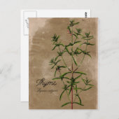  stijl Thyme Herb Briefkaart (Voorkant / Achterkant)