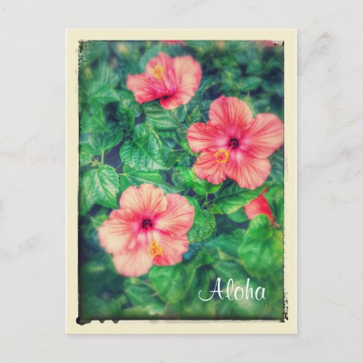  stijl Tropische Hibiscus Flowers Briefkaart (Voorkant)