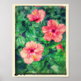  stijl Tropische Hibiscus Flowers Poster