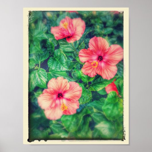  stijl Tropische Hibiscus Flowers Poster (Voorkant)