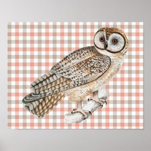 Stijl Uil Vogel Poster Art op Plaid (Voorkant)