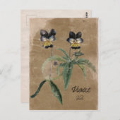  stijl Violet Flower Post-kaart Briefkaart (Voorkant / Achterkant)