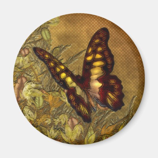  stijl vlinder illustratie magneten (Voorkant)