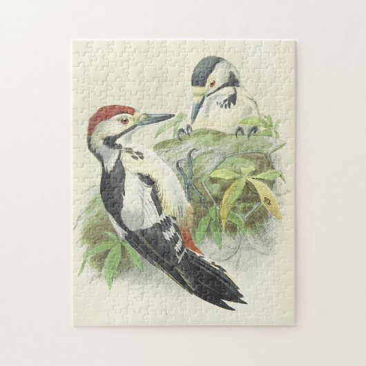 stijl vogelbeschrijving puzzel (Verticaal)