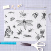  Stijl zwart-wit Insect Collage, Pt 1 Tissuepapier (Craft)