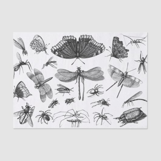 Stijl zwart-wit Insect Collage, Pt 2 Tissuepapier (Voorkant)