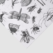Stijl zwart-wit Insect Collage, Pt 2 Tissuepapier (Detail)