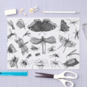 Stijl zwart-wit Insect Collage, Pt 2 Tissuepapier (Craft)
