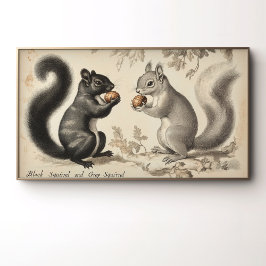  stijl zwarte eekhoorn en grijze eekhoorn poster
