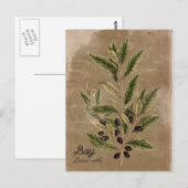 stijlbaai briefkaart (Voorkant / Achterkant)